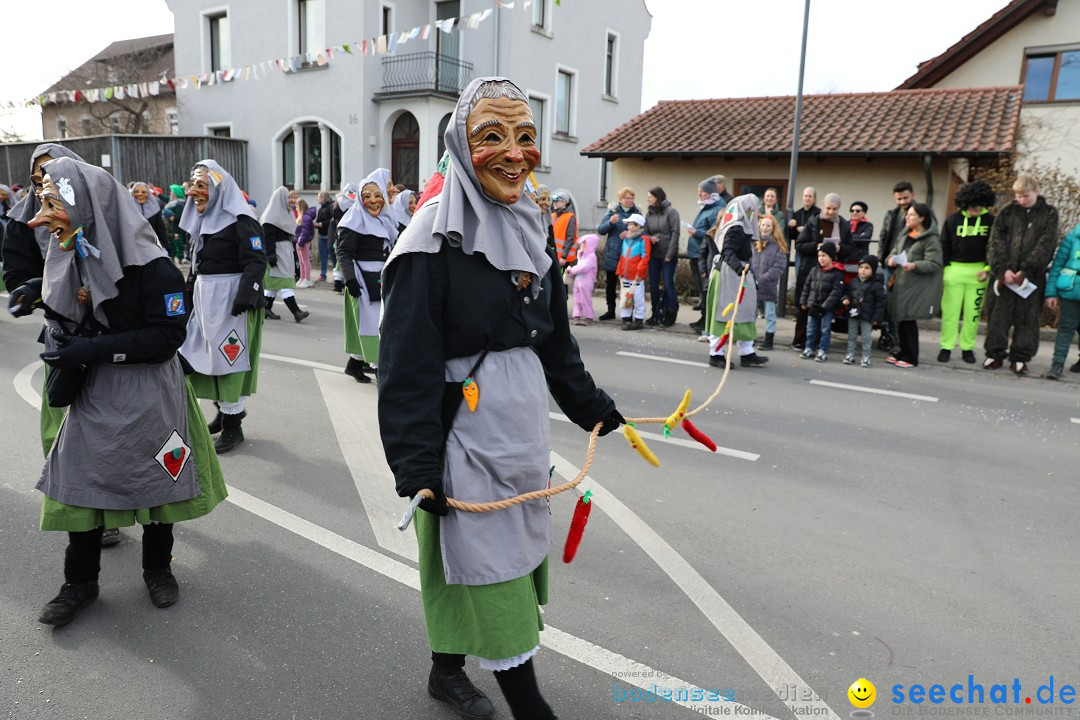 Narrensprung - Fasnetsumzug 2023: Baienfurt, 18.02.2023