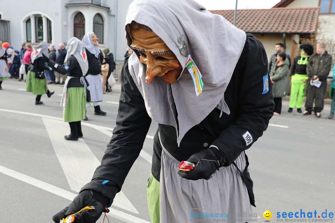 Narrensprung - Fasnetsumzug 2023: Baienfurt, 18.02.2023