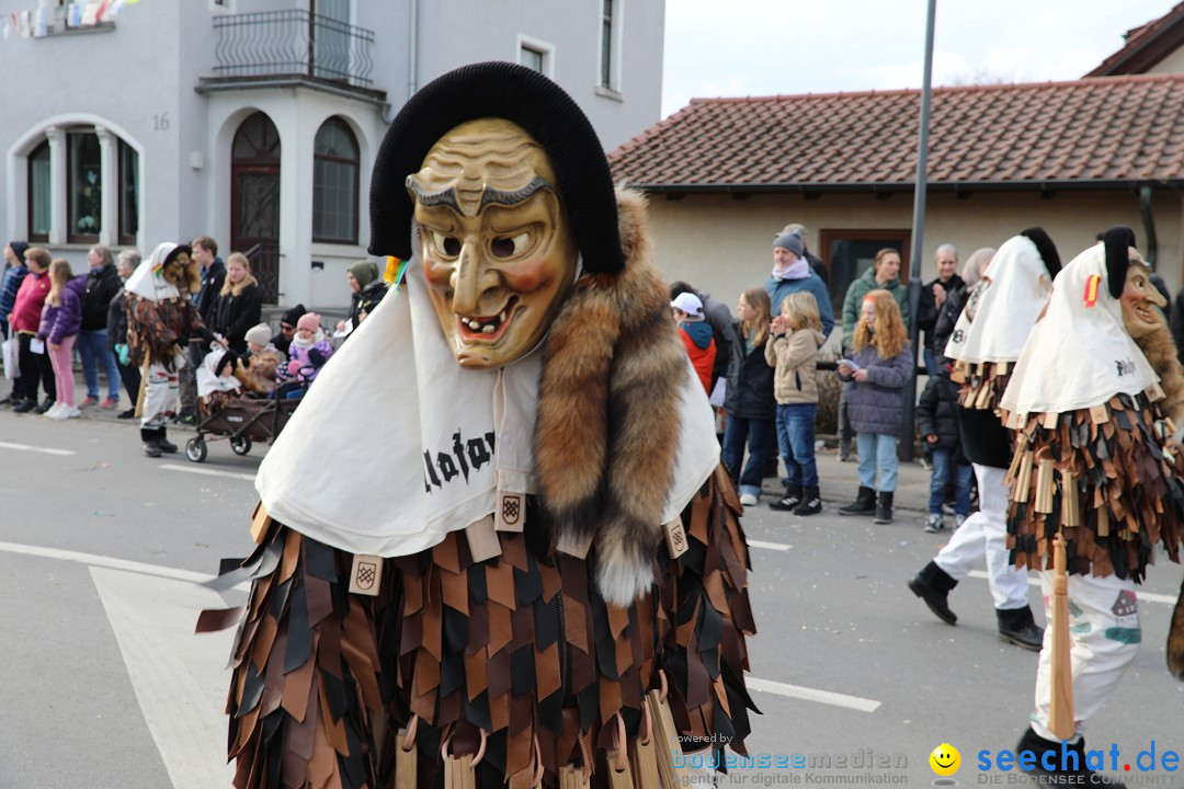 Narrensprung - Fasnetsumzug 2023: Baienfurt, 18.02.2023