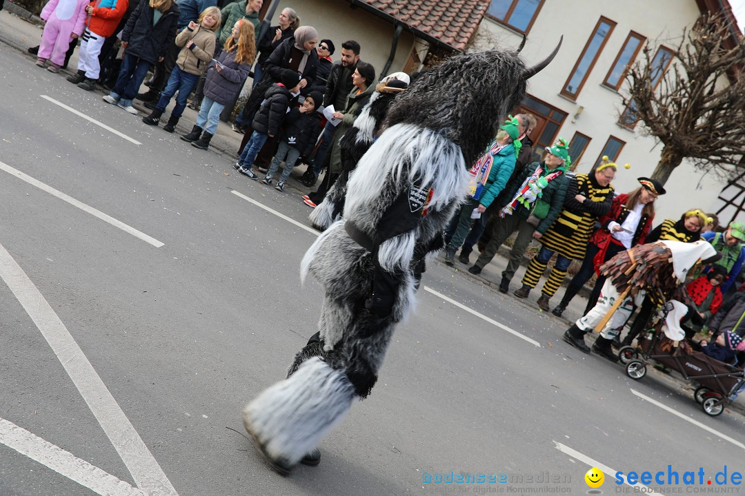 Narrensprung - Fasnetsumzug 2023: Baienfurt, 18.02.2023