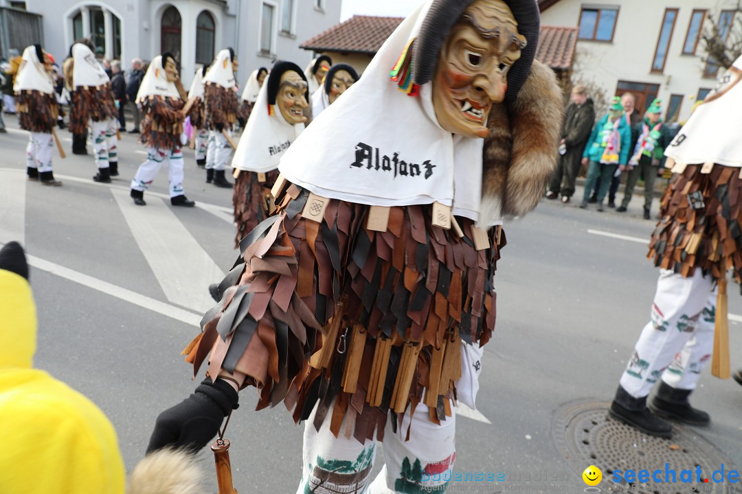 Narrensprung - Fasnetsumzug 2023: Baienfurt, 18.02.2023