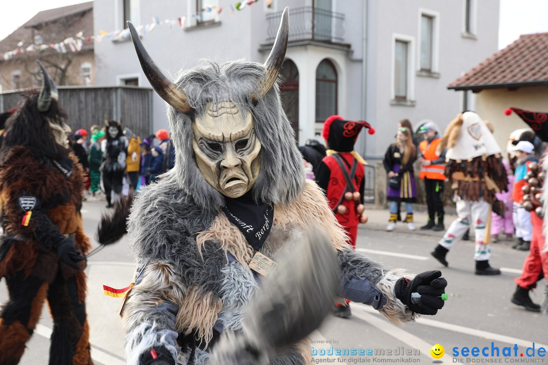 Narrensprung - Fasnetsumzug 2023: Baienfurt, 18.02.2023