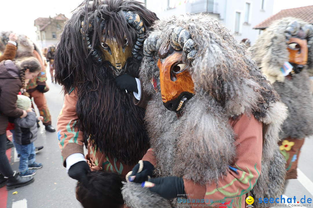 Narrensprung - Fasnetsumzug 2023: Baienfurt, 18.02.2023