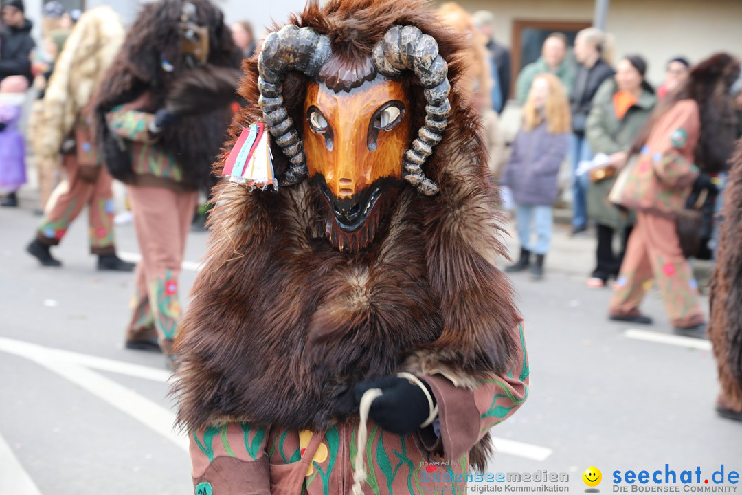 Narrensprung - Fasnetsumzug 2023: Baienfurt, 18.02.2023