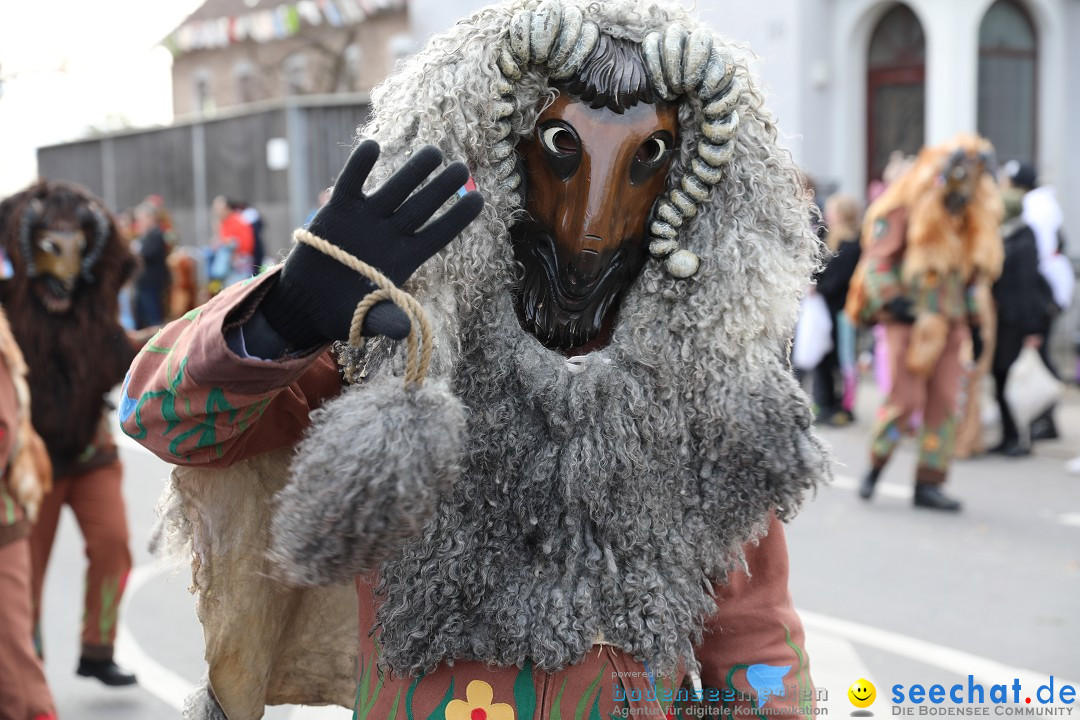 Narrensprung - Fasnetsumzug 2023: Baienfurt, 18.02.2023