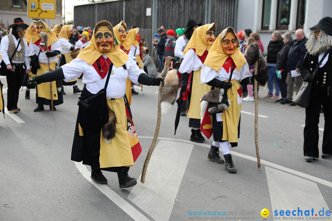 Narrensprung - Fasnetsumzug 2023: Baienfurt, 18.02.2023