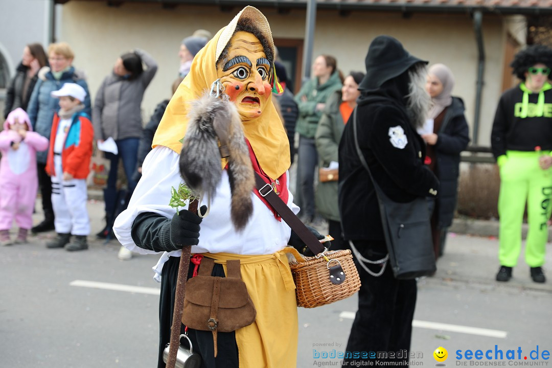 Narrensprung - Fasnetsumzug 2023: Baienfurt, 18.02.2023