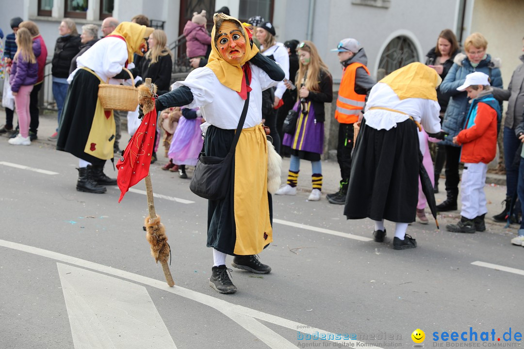 Narrensprung - Fasnetsumzug 2023: Baienfurt, 18.02.2023