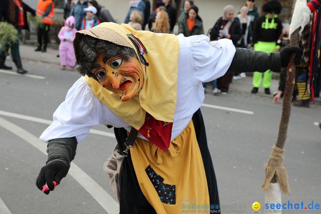 Narrensprung - Fasnetsumzug 2023: Baienfurt, 18.02.2023