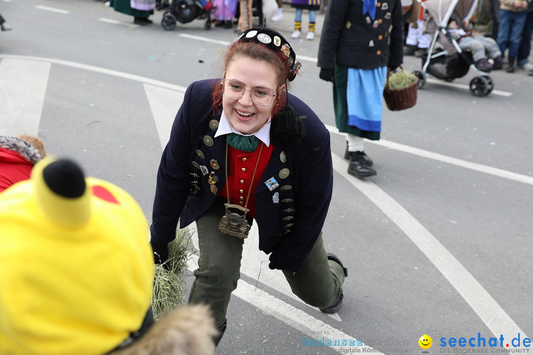 Narrensprung - Fasnetsumzug 2023: Baienfurt, 18.02.2023