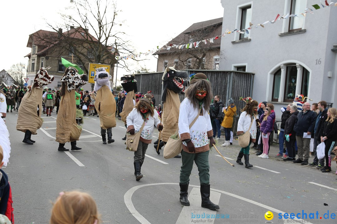 Narrensprung - Fasnetsumzug 2023: Baienfurt, 18.02.2023