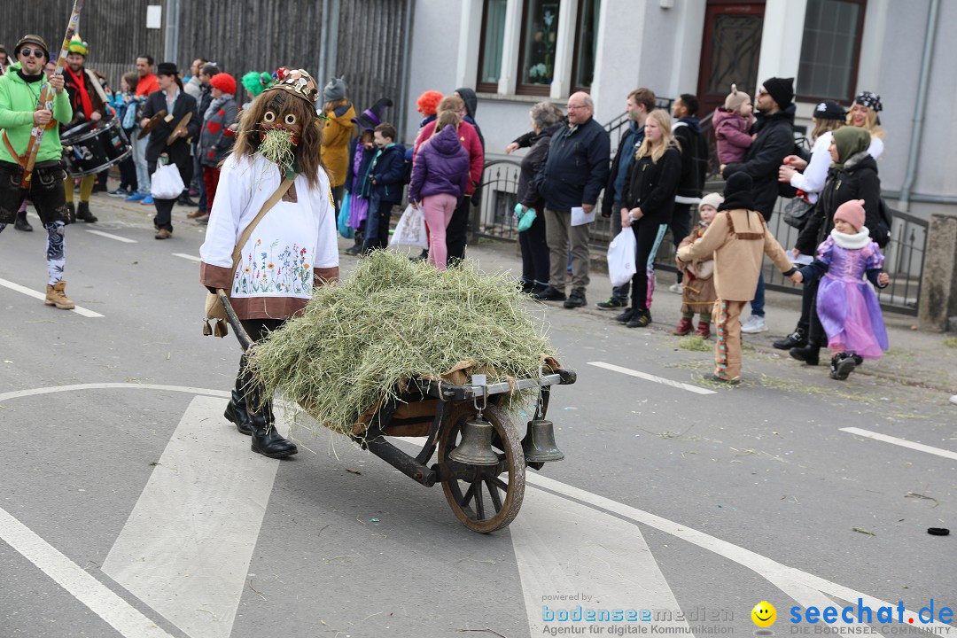 Narrensprung - Fasnetsumzug 2023: Baienfurt, 18.02.2023