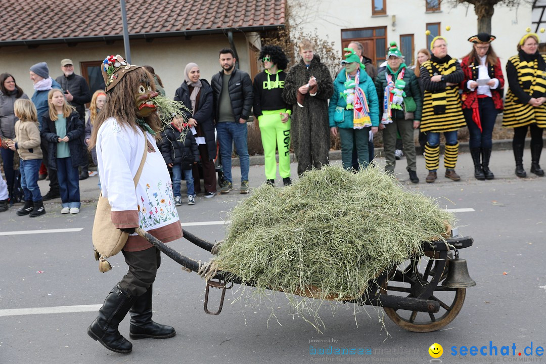 Narrensprung - Fasnetsumzug 2023: Baienfurt, 18.02.2023