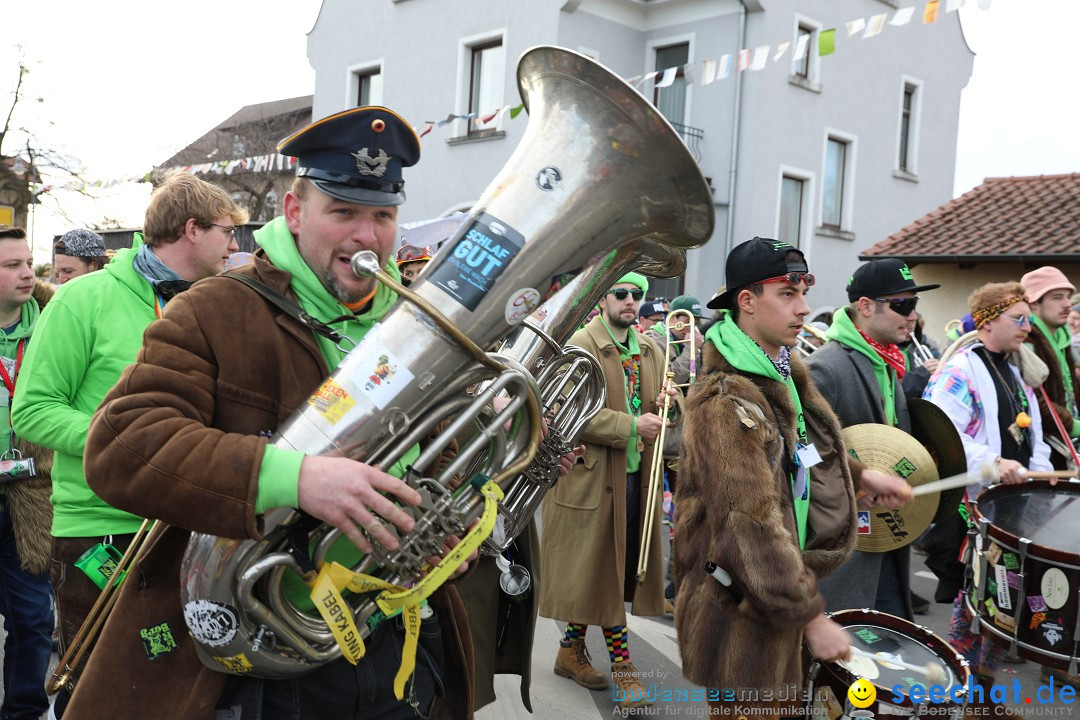 Narrensprung - Fasnetsumzug 2023: Baienfurt, 18.02.2023