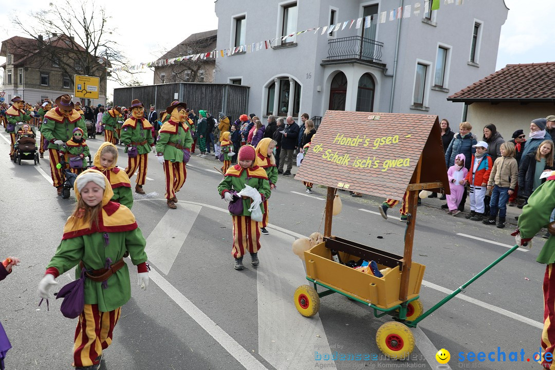 Narrensprung - Fasnetsumzug 2023: Baienfurt, 18.02.2023