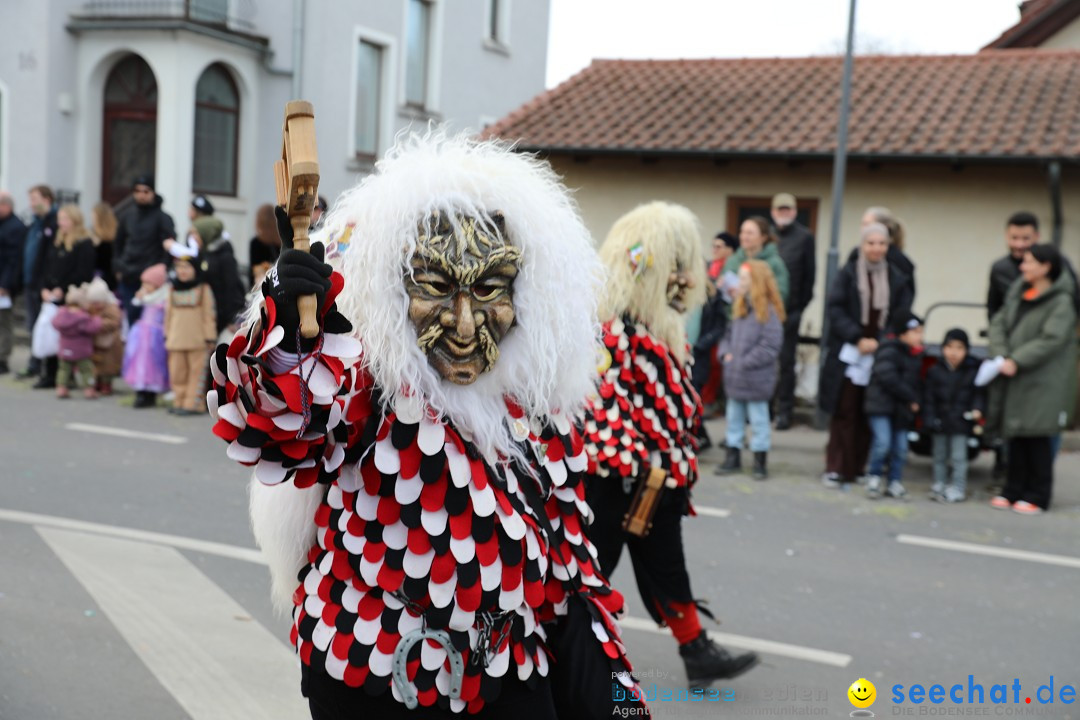 Narrensprung - Fasnetsumzug 2023: Baienfurt, 18.02.2023