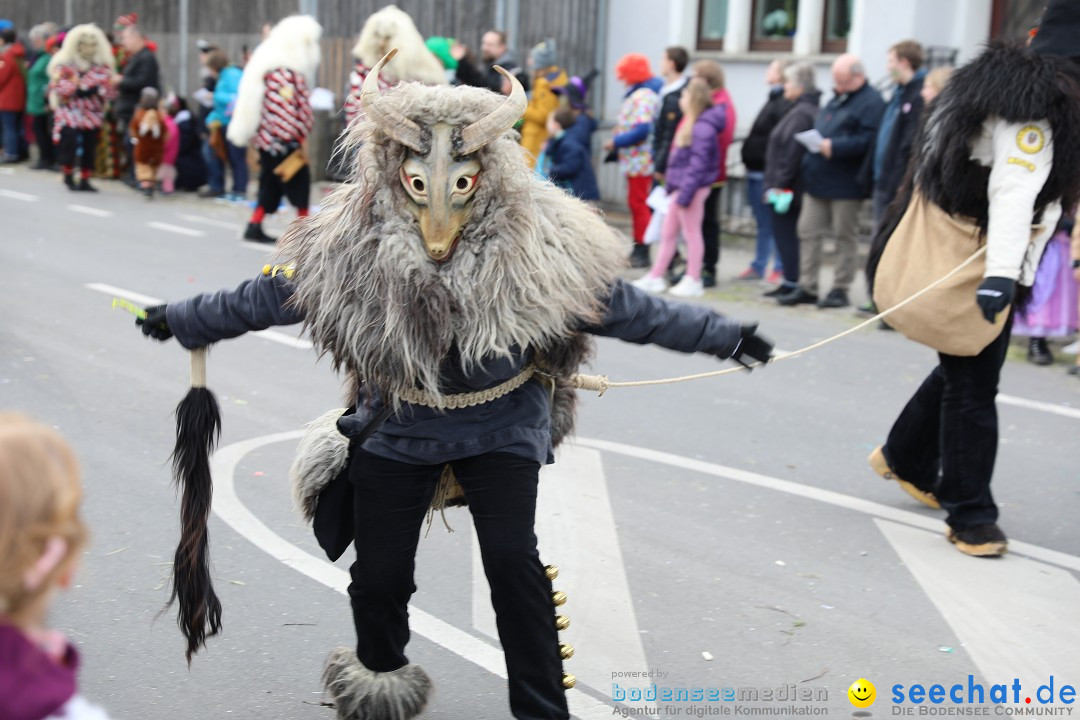 Narrensprung - Fasnetsumzug 2023: Baienfurt, 18.02.2023