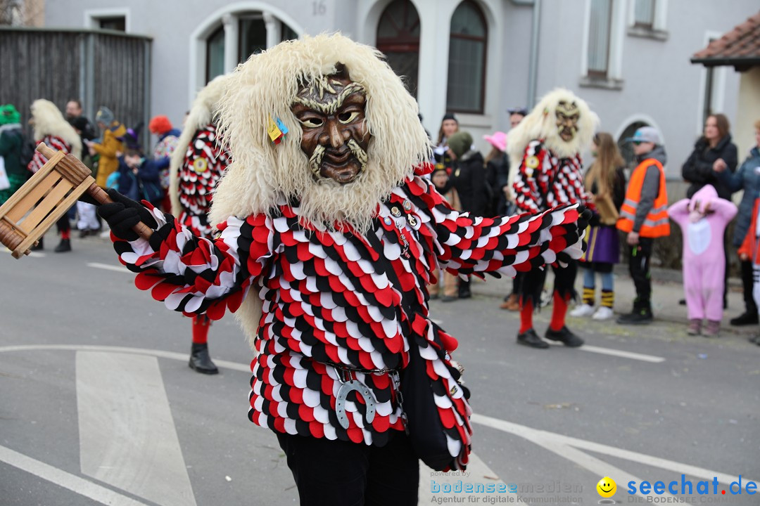 Narrensprung - Fasnetsumzug 2023: Baienfurt, 18.02.2023