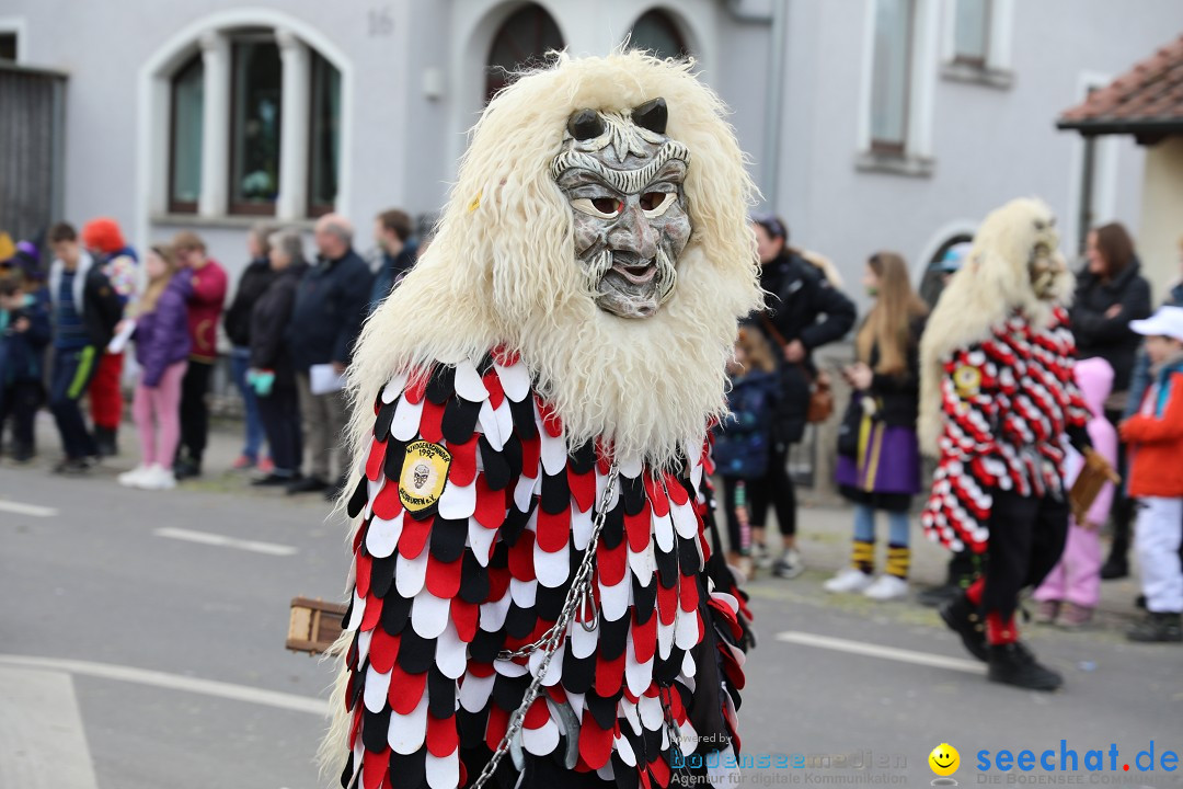 Narrensprung - Fasnetsumzug 2023: Baienfurt, 18.02.2023