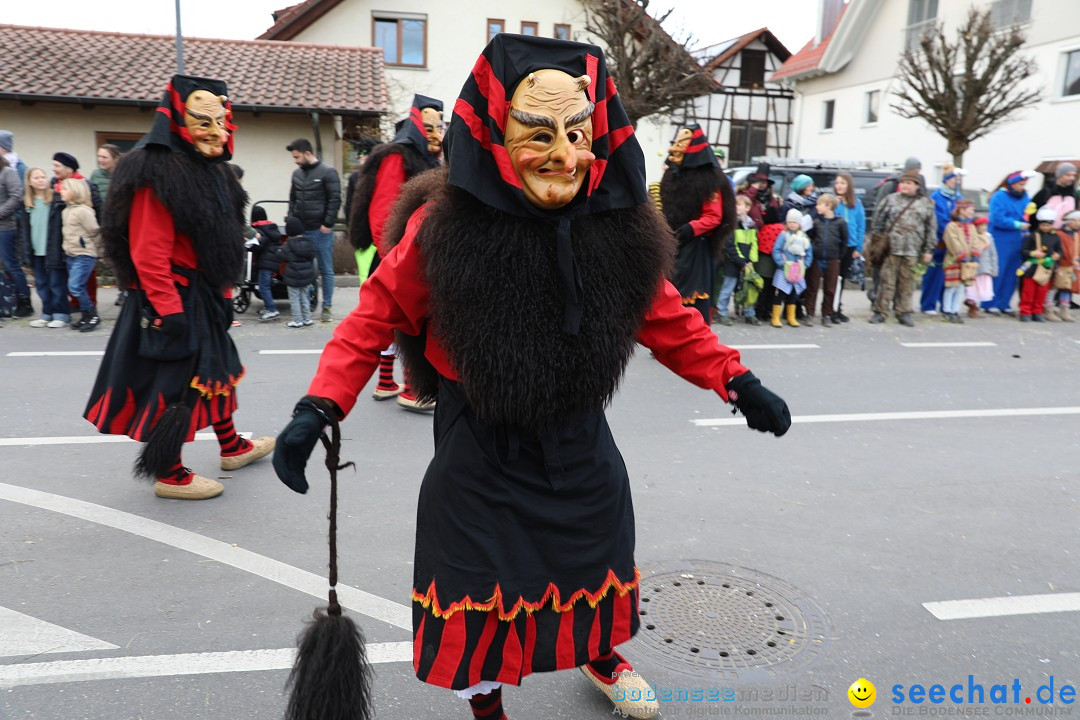 Narrensprung - Fasnetsumzug 2023: Baienfurt, 18.02.2023