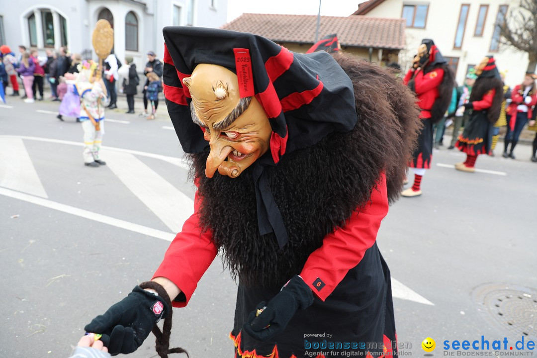 Narrensprung - Fasnetsumzug 2023: Baienfurt, 18.02.2023