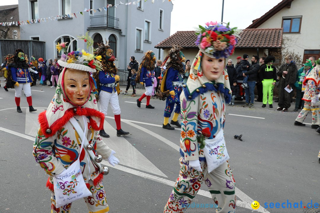 Narrensprung - Fasnetsumzug 2023: Baienfurt, 18.02.2023