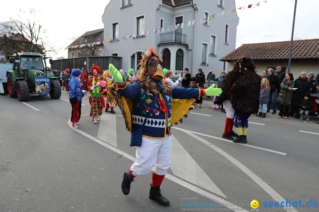 Narrensprung - Fasnetsumzug 2023: Baienfurt, 18.02.2023