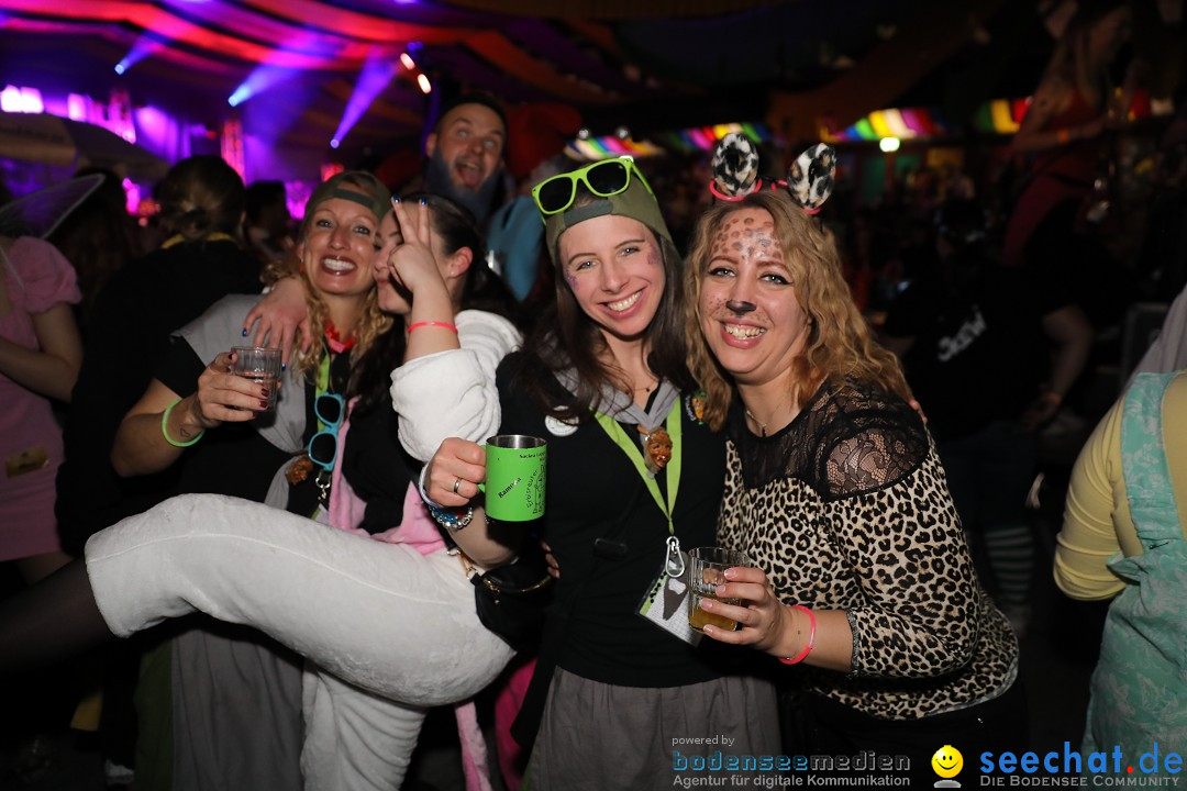 Fanfarenball - Fasnet: Wetzisreute, 18.02.2023