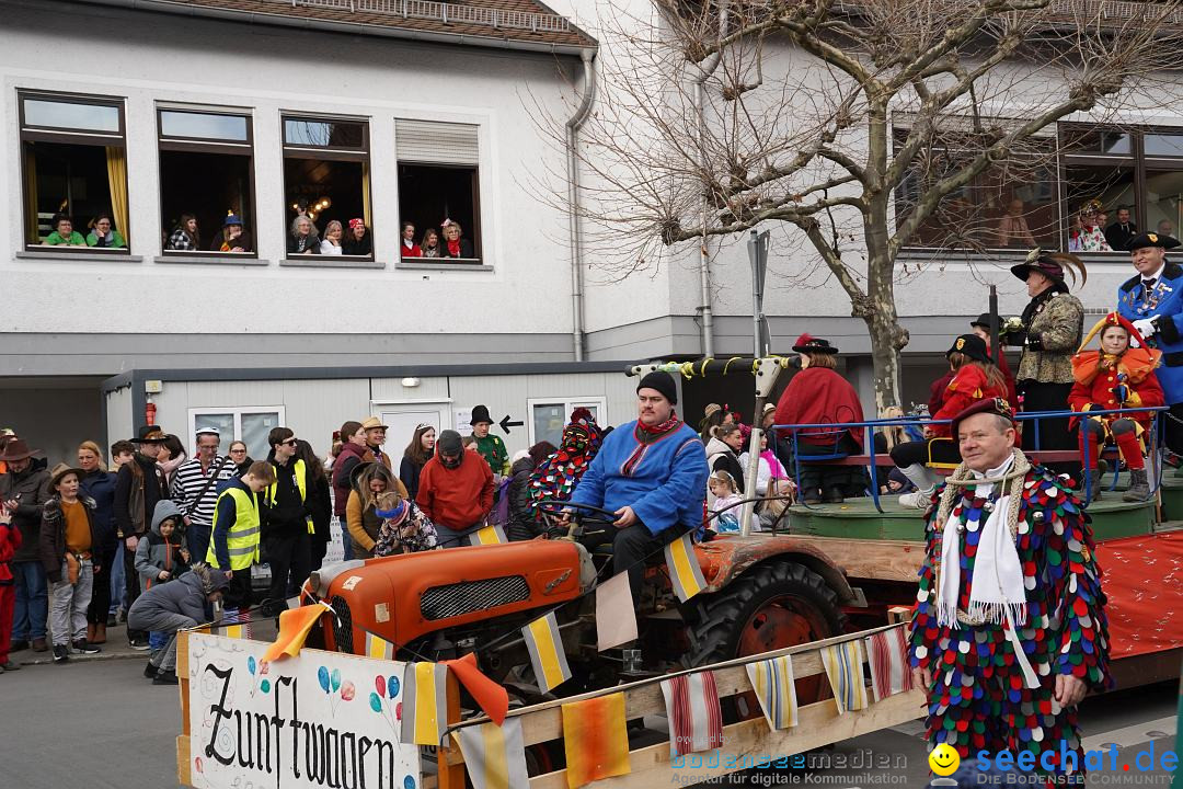 Narrenumzug: Markdorf am Bodensee, 19.02.2023