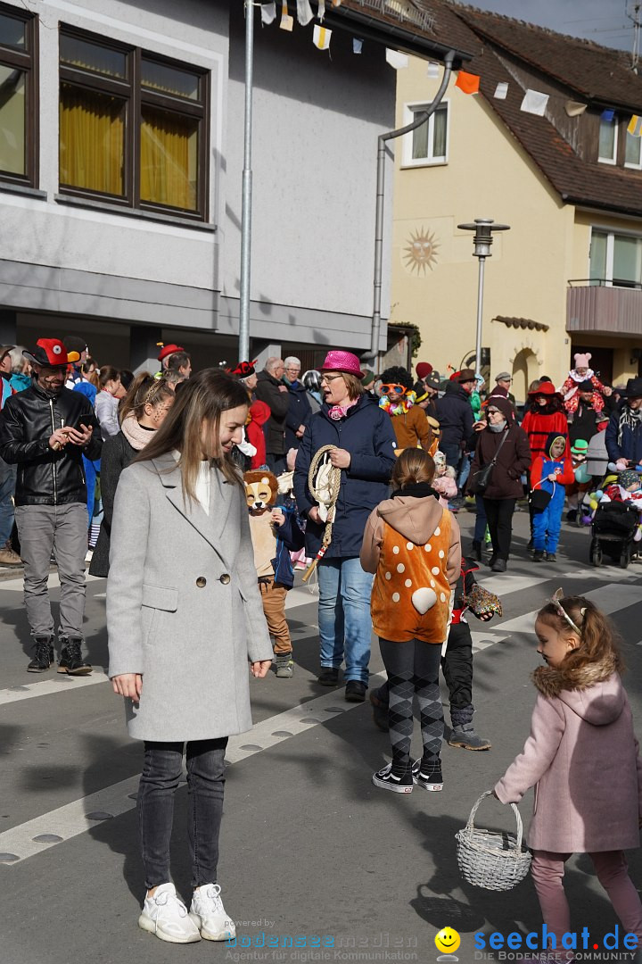 Narrenumzug: Markdorf am Bodensee, 19.02.2023