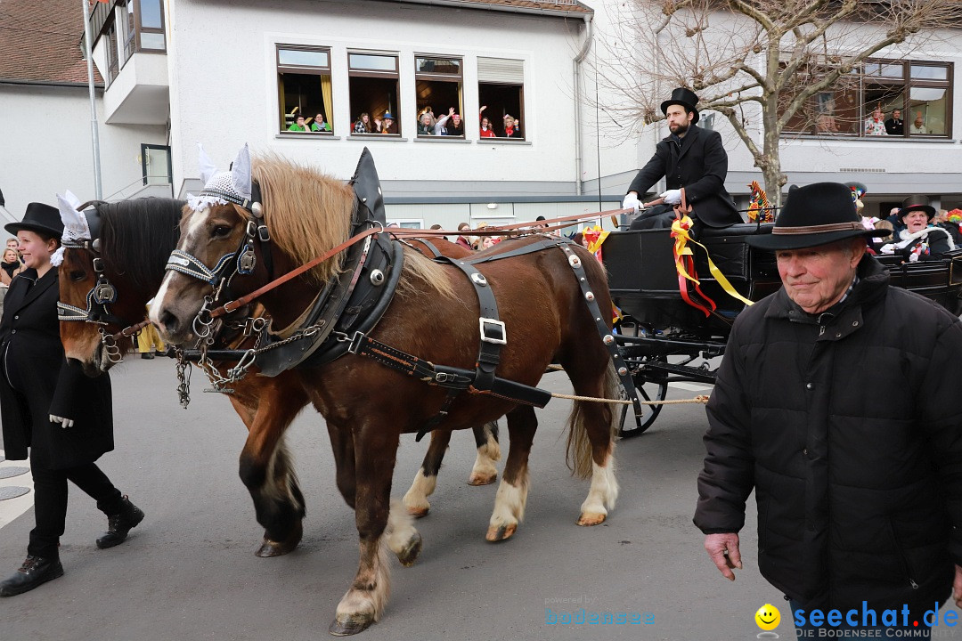 Narrenumzug: Markdorf am Bodensee, 19.02.2023