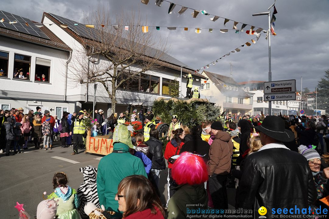 Narrenumzug: Markdorf am Bodensee, 19.02.2023