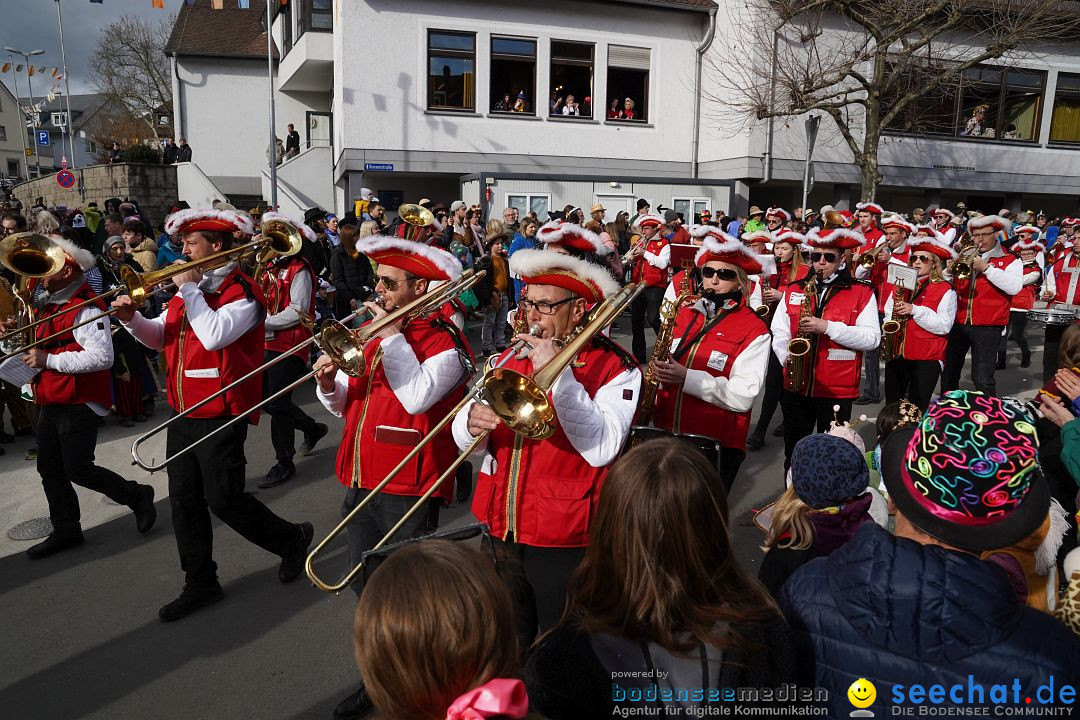 Narrenumzug: Markdorf am Bodensee, 19.02.2023