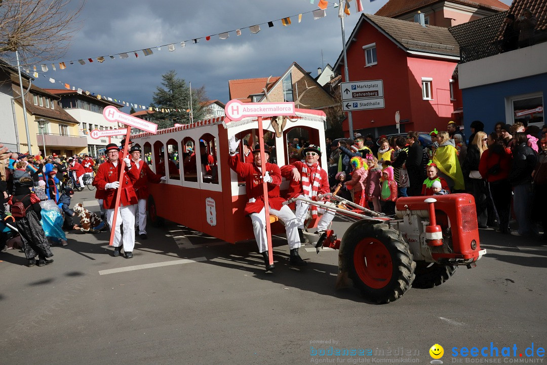 Narrenumzug: Markdorf am Bodensee, 19.02.2023