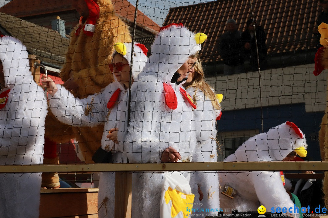 Narrenumzug: Markdorf am Bodensee, 19.02.2023