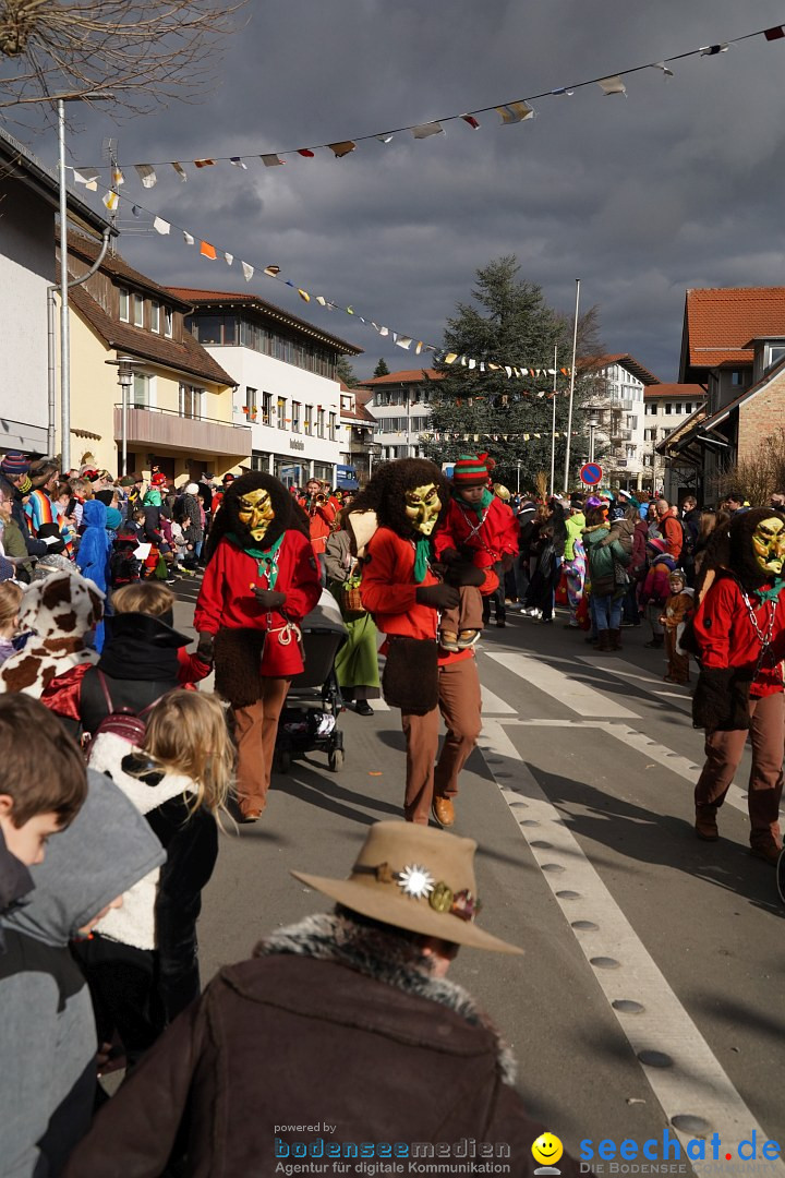 Narrenumzug: Markdorf am Bodensee, 19.02.2023