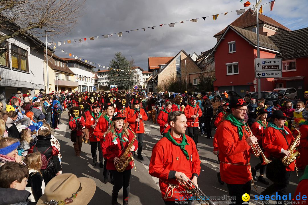 Narrenumzug: Markdorf am Bodensee, 19.02.2023