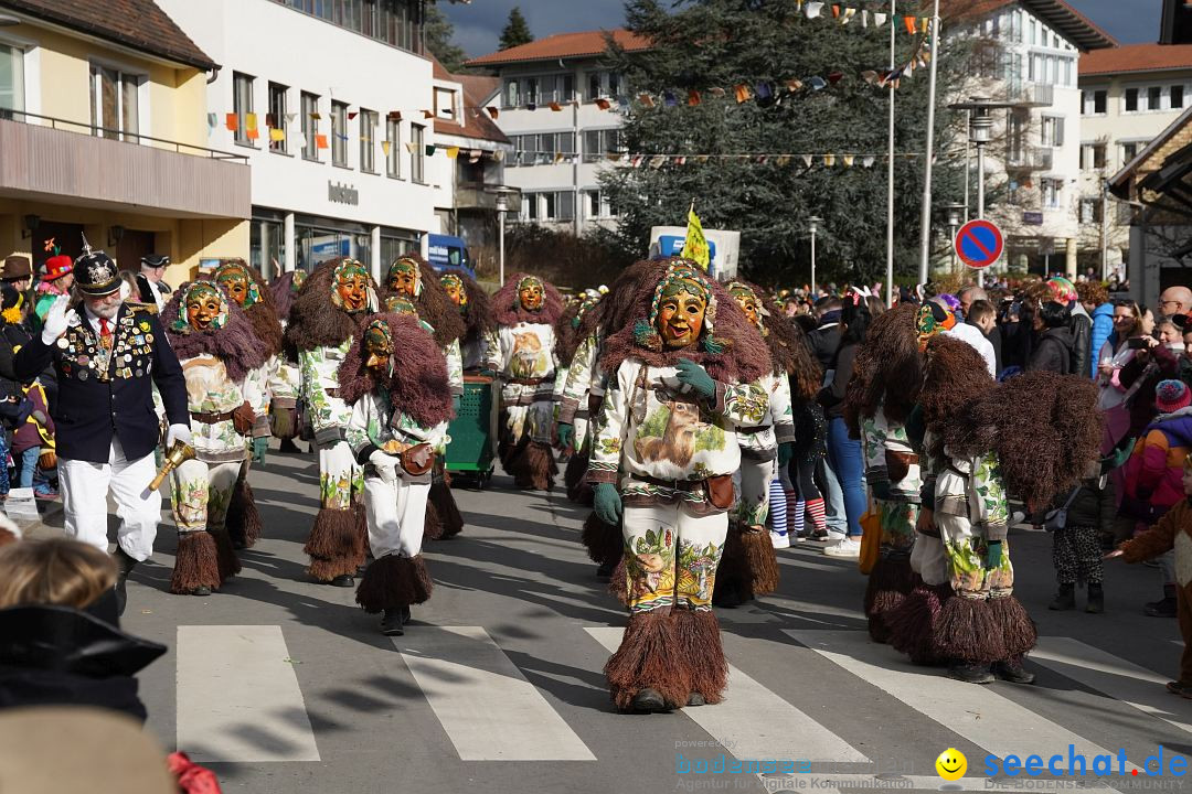 Narrenumzug: Markdorf am Bodensee, 19.02.2023