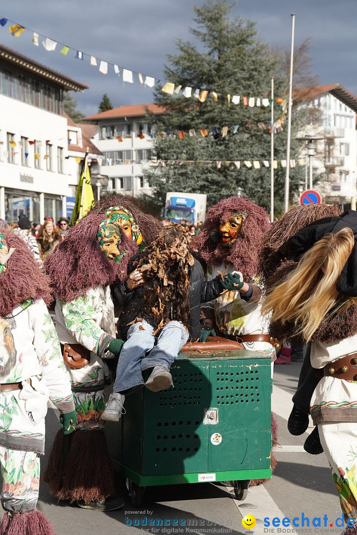 Narrenumzug: Markdorf am Bodensee, 19.02.2023