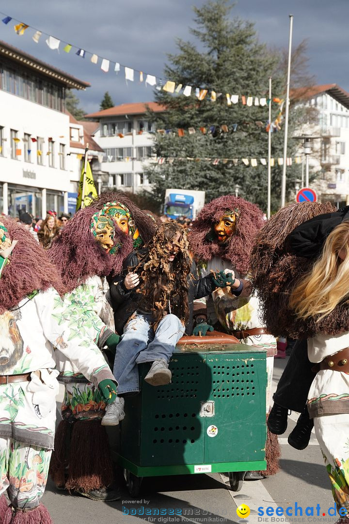 Narrenumzug: Markdorf am Bodensee, 19.02.2023