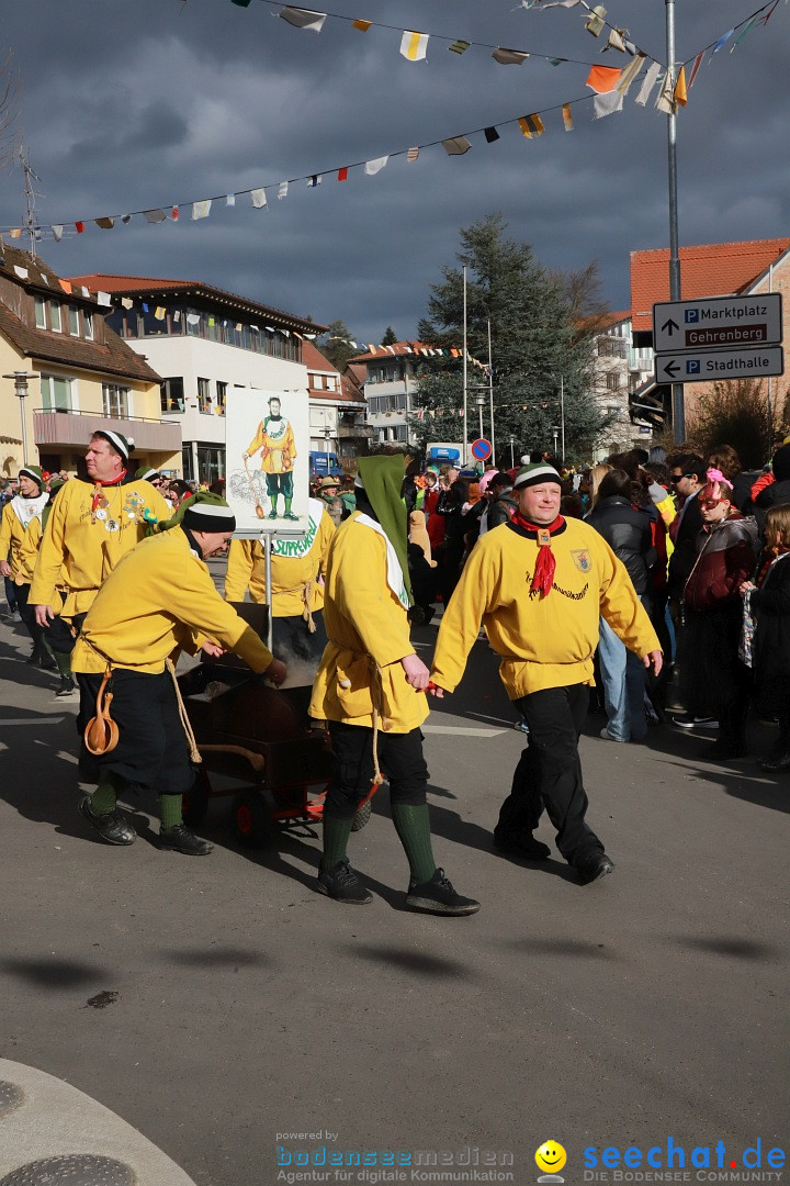 Narrenumzug: Markdorf am Bodensee, 19.02.2023