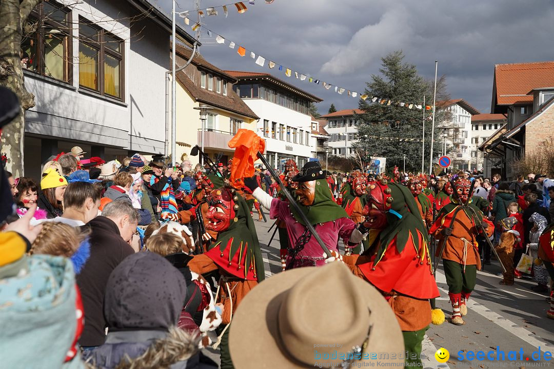 Narrenumzug: Markdorf am Bodensee, 19.02.2023