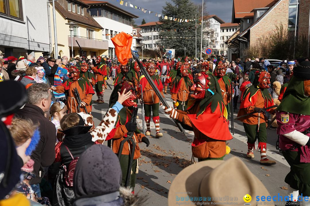 Narrenumzug: Markdorf am Bodensee, 19.02.2023