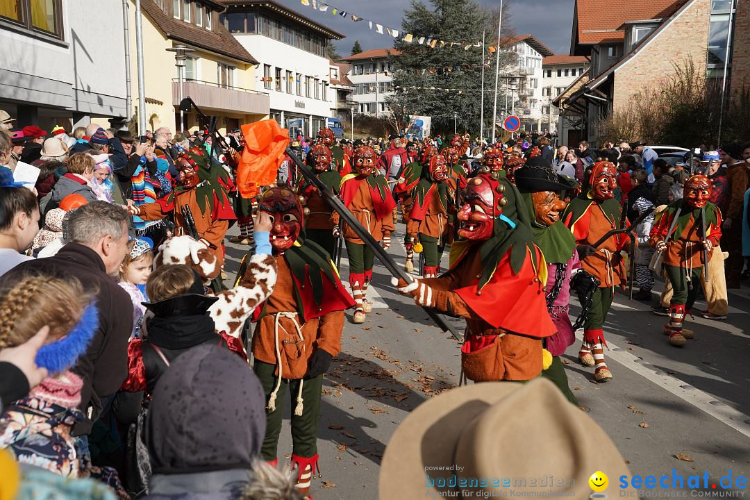 Narrenumzug: Markdorf am Bodensee, 19.02.2023