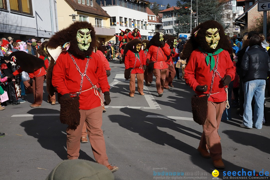 Narrenumzug: Markdorf am Bodensee, 19.02.2023