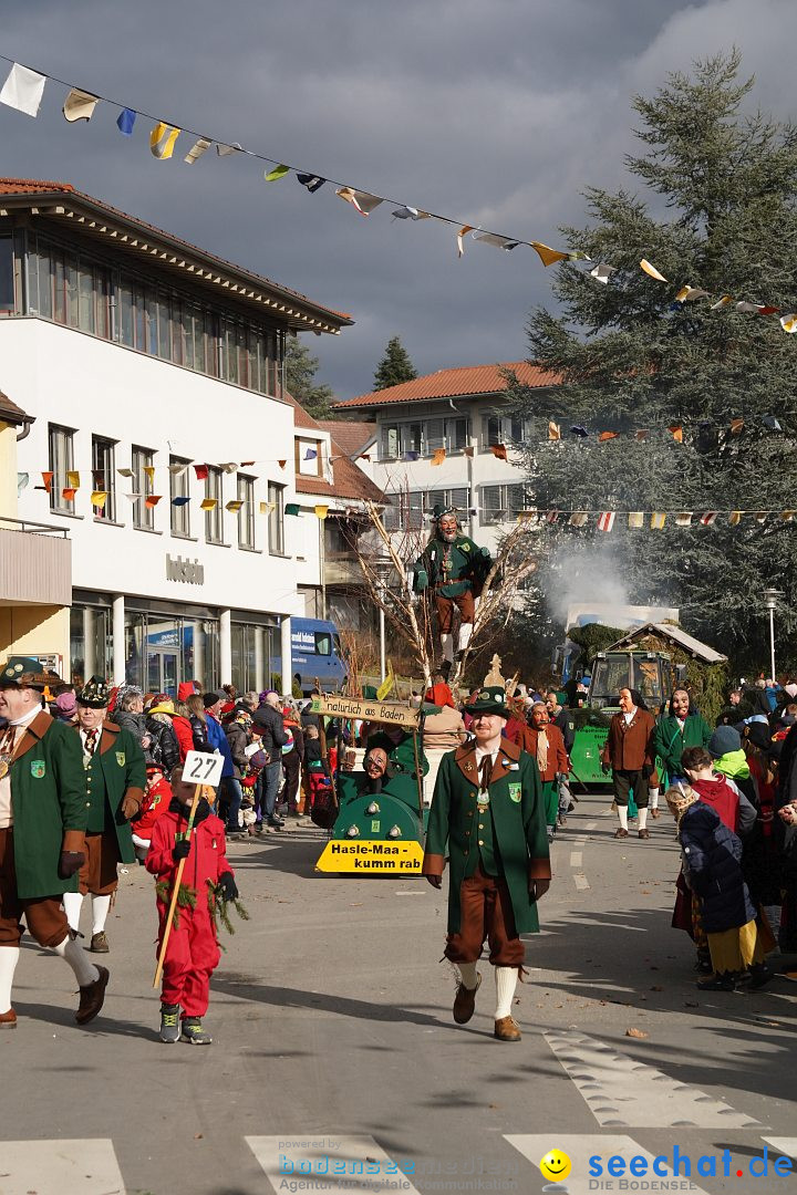 Narrenumzug: Markdorf am Bodensee, 19.02.2023