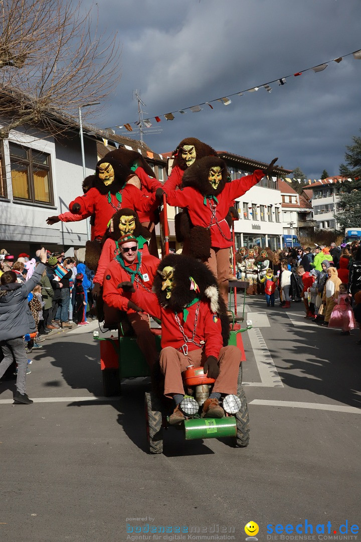 Narrenumzug: Markdorf am Bodensee, 19.02.2023