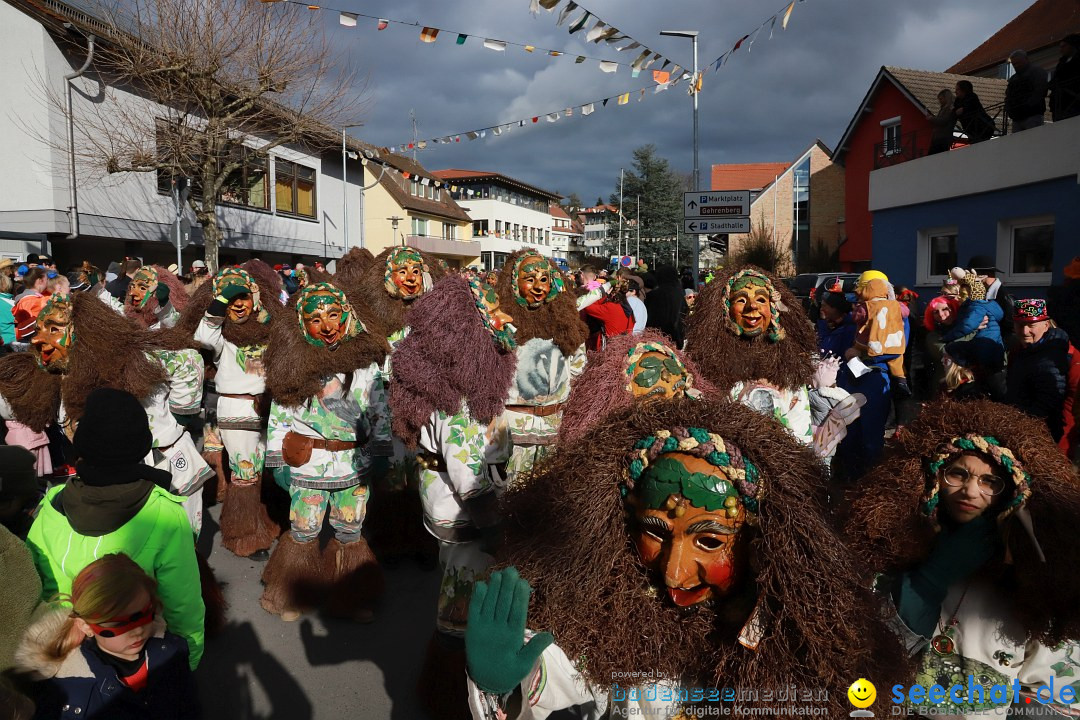 Narrenumzug: Markdorf am Bodensee, 19.02.2023