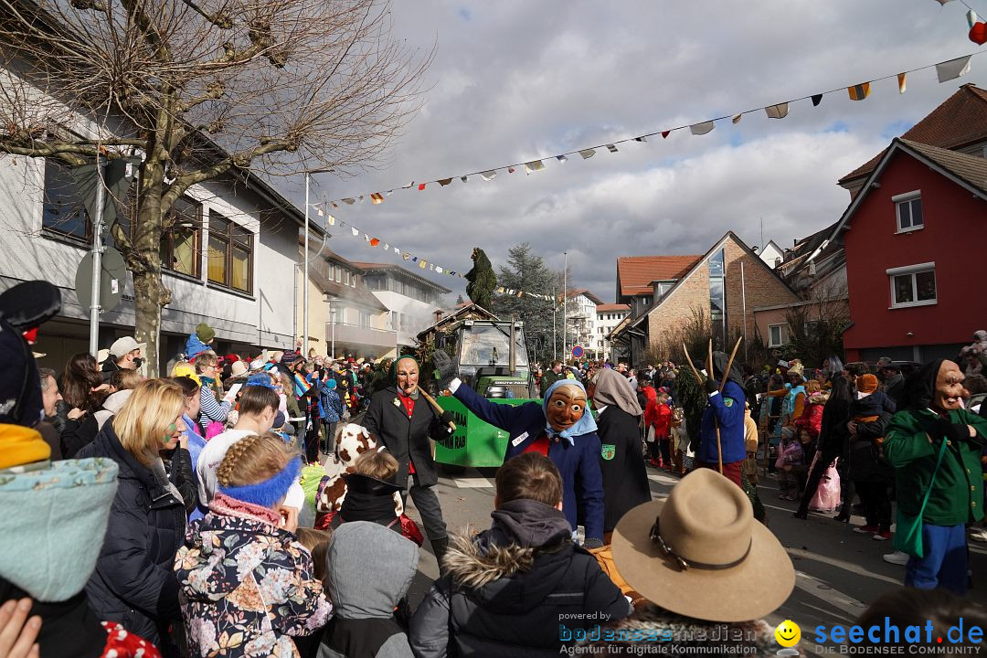 Narrenumzug: Markdorf am Bodensee, 19.02.2023