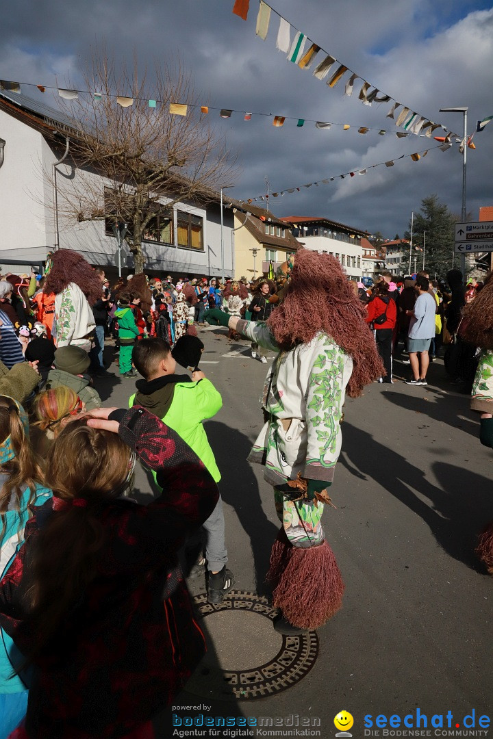 Narrenumzug: Markdorf am Bodensee, 19.02.2023